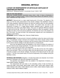 original article a study on morphometry of articular cartilage of