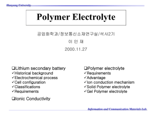 Polymer Electrolyte