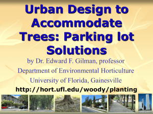 Urban Design to Accommodate Trees: Parking lot Solutions