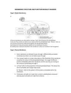 Booklet 3: Membrane Structure and Function