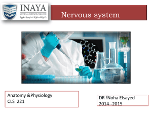 8 nervous - INAYA Medical College