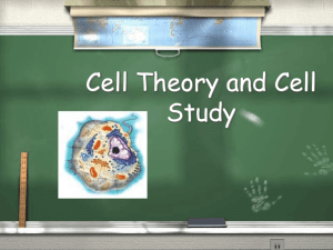 Cell Theory PPT