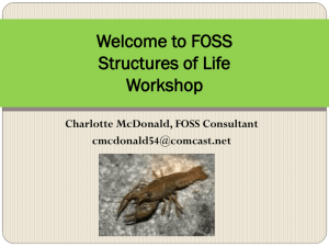 Welcome to FOSS VARIABLES Workshop