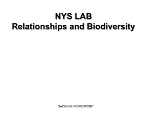 NYS LAB Relationships and Biodiversity