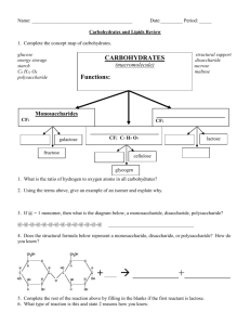 Carbs and Lipids Review
