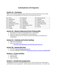 Carbohydrates Unit Organizer Section 1A – Vocabulary