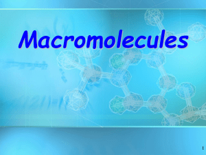 Macromolecules - sciencewithskinner