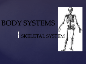 Body Systems Power Point