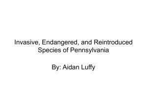 Invasive, Endangered, and Reintroduced Species
