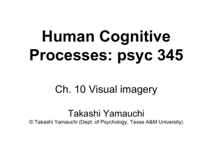 Human Cognitive Processes