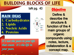 Biology Notes 2-3 Building Blocks of Life