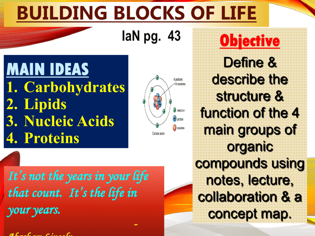 Biology Notes 2 3 Building Blocks Of Life