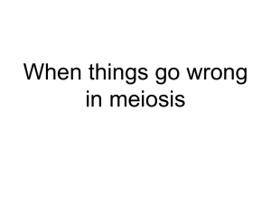 When things go wrong in meiosis