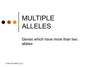 Powerpoint Presentation: Multiple Alleles