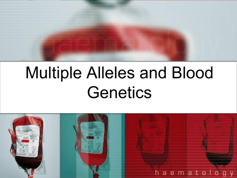 multiple-alleles-and-blood-genetics