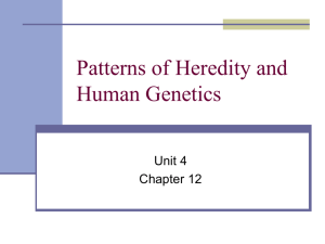 Patterns of Heredity and Human Genetics