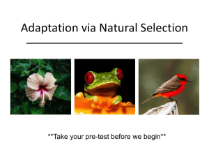 Adaptation via Natural Selection Lesson Plan