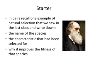 Outline natural selection, isolation, plate activity without videos