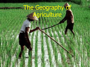Subsistence Agriculture Regions