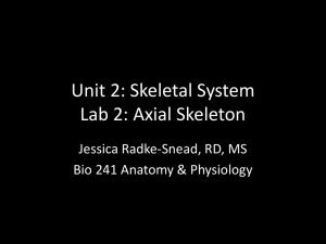 Unit 2: Skeletal System Lab 2: Axial Skeleton
