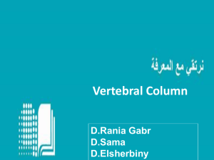 Vertebral column 1