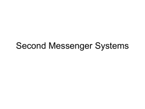 Second Messenger Systems