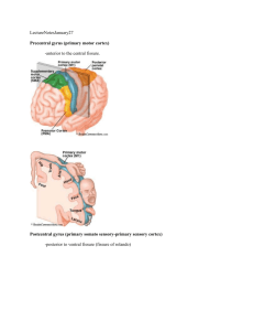 Lecture Notes January 27 - A Guide to Treatment of Aphasia