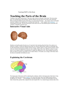 Teaching the Parts of the Brain