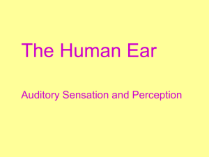 Sensation and Perception (Other senses)