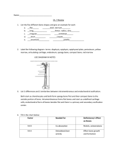 Name: Ch. 7 Review List the five different bone shapes and give an