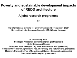 Poverty and sustainable development impacts of REDD architecture