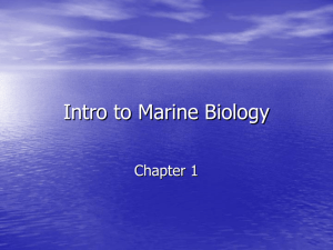 Intro to Marine Biology