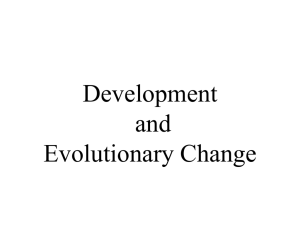 Development and Evolutionary Change Chapter 21