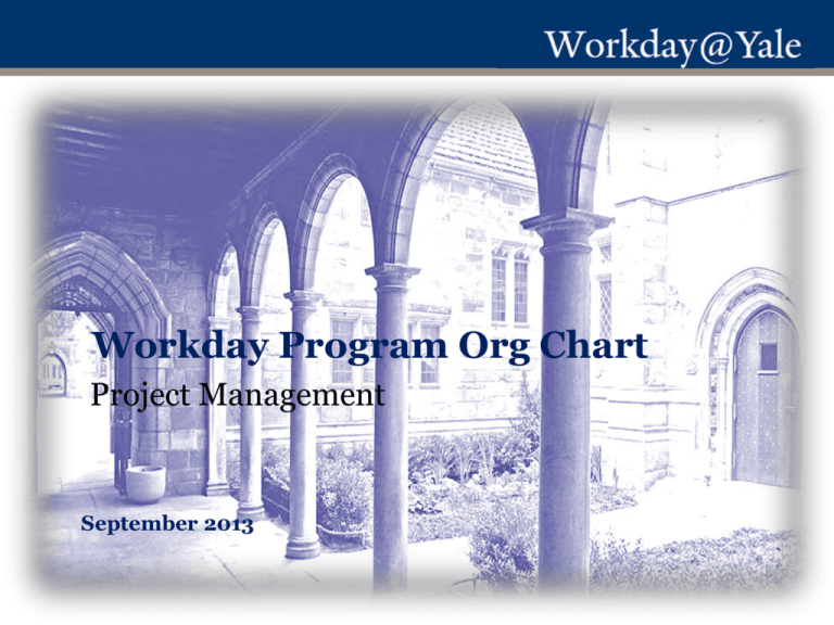 Workday Program Org Chart