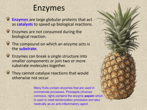 Enzymes - csfcbiology