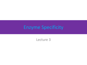 Enzyme Specificity