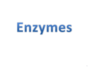 Enzyme Inhibitors