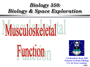 Musculoskeletal Function #1