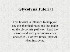 Glycolysis Tutorial
