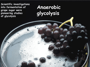 Anaerobic glycolysis
