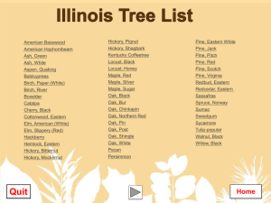 IL trees info with pics