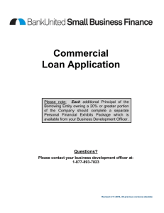 Commercial Loan Application