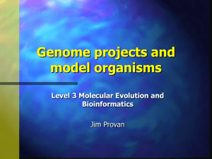Genome projects and model organisms