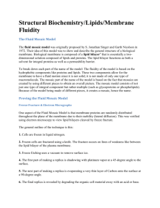 Structural Biochemistry/Lipids/Membrane Fluidity