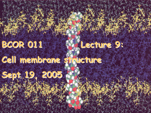 9 Cell Membranes 9 19 05