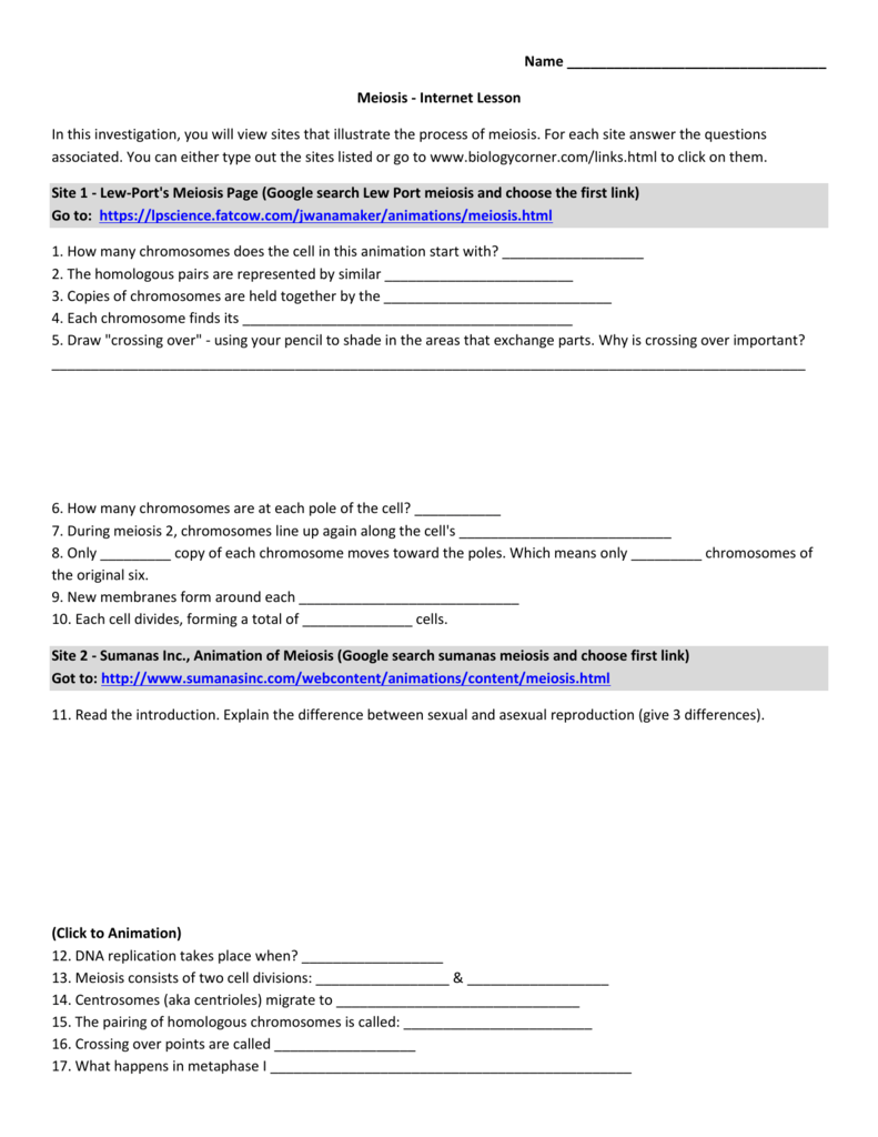 Meiosis Webquest Mitosis