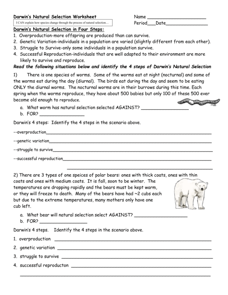 Darwin s Natural Selection Worksheet
