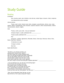 Iliad essay