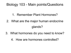 Lecture 15 - Animal Hormones
