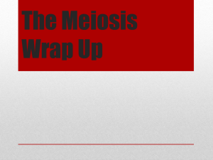 The Meiosis Wrap Up - Bakersfield High School